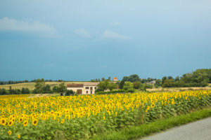 Enjoy cycling trip with Chasing Atlas